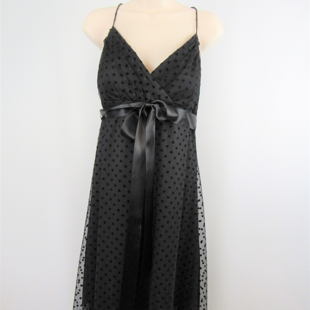 Blu Sage Black Swiss Dot Dress 12